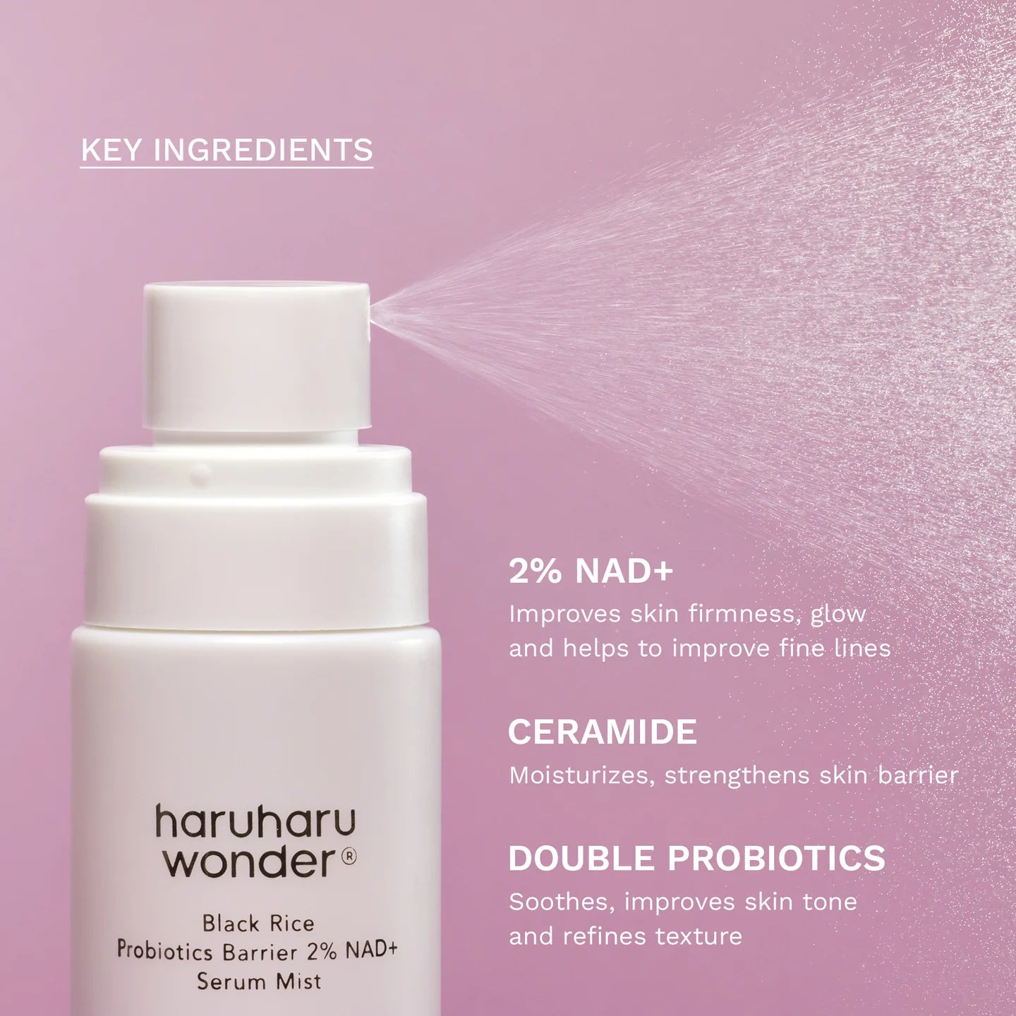 Black Rice Probiotics Barrier 2% NAD+ Serum Mist