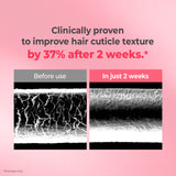 Protein Bonding Care Shampoo