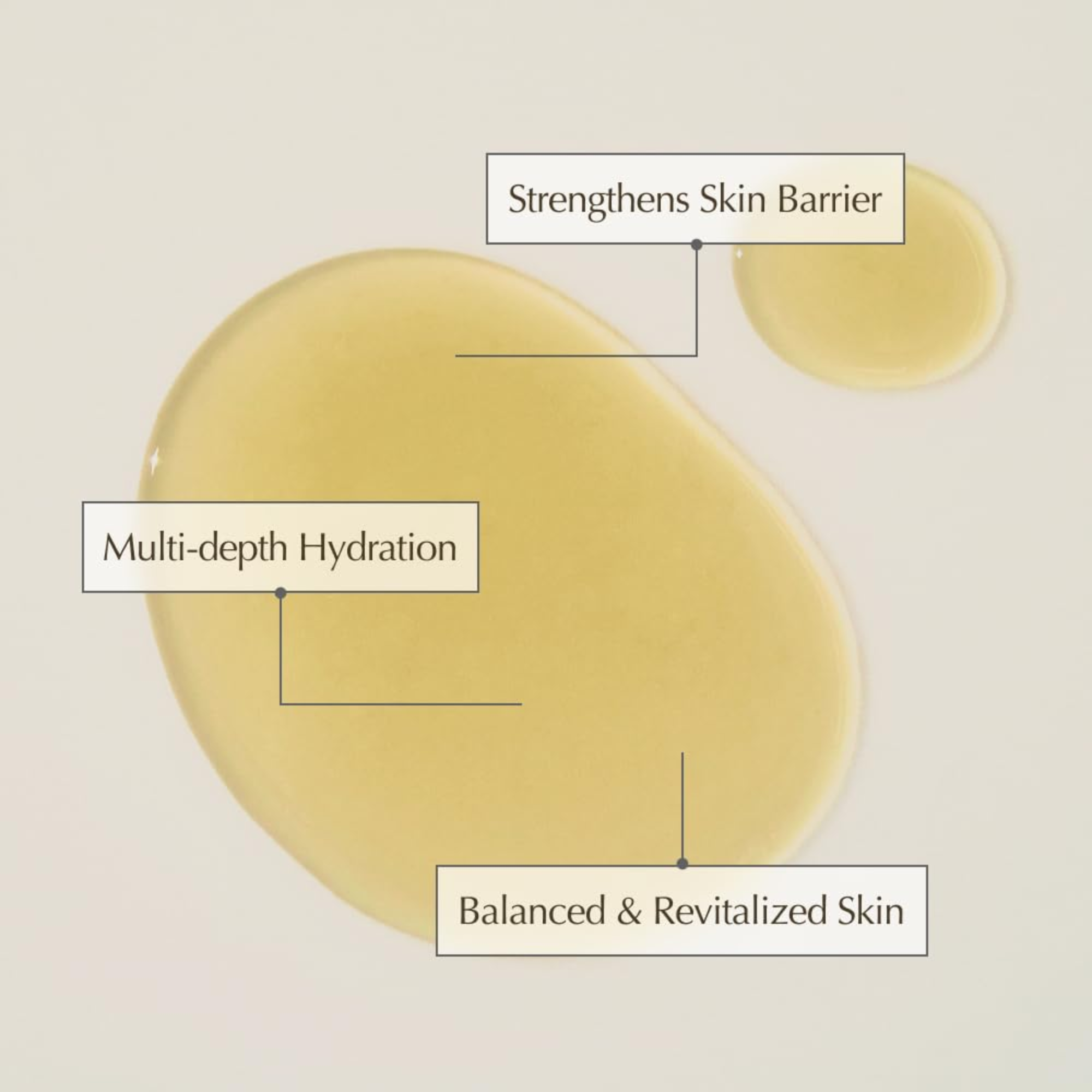 Kombu Balancing Ampoule Toner