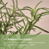 Rosemary Relief Gel Cleanser