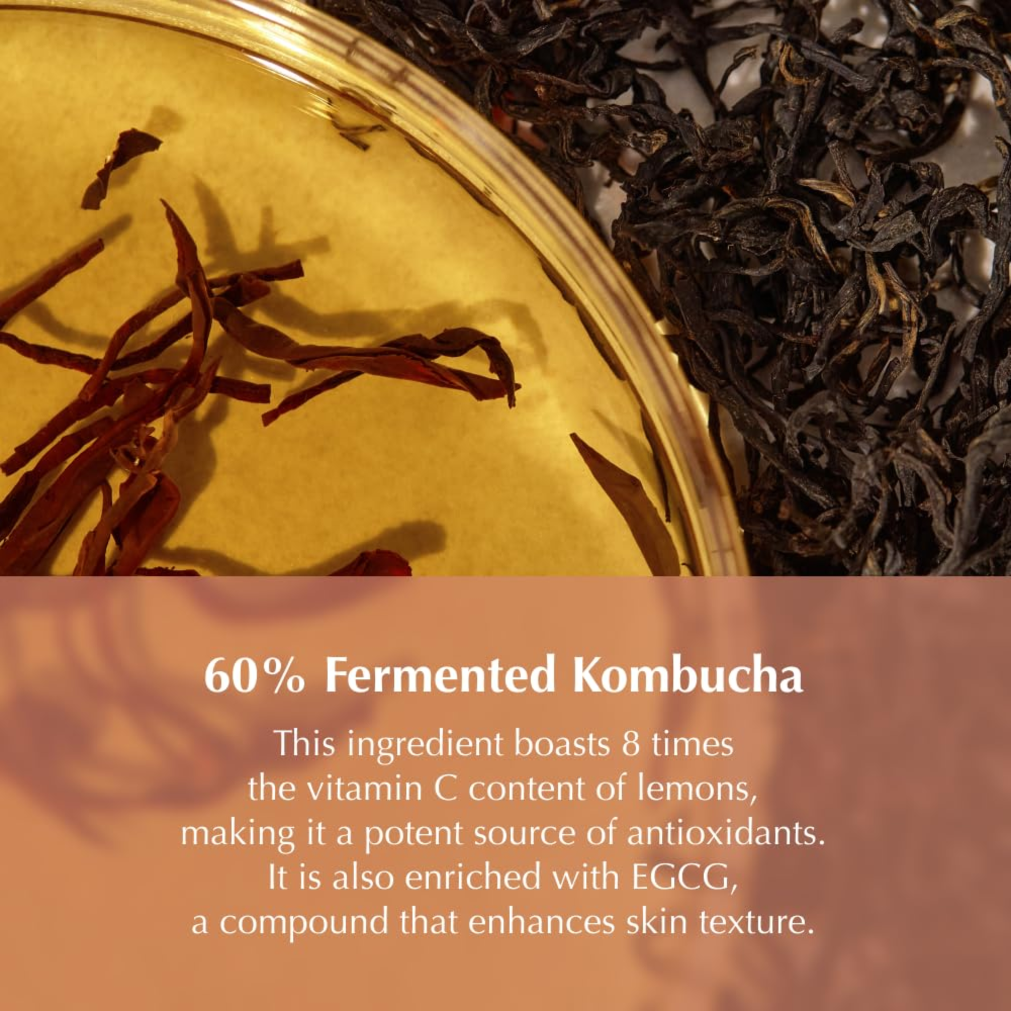 Kombu Balancing Ampoule Toner