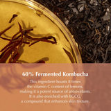 Kombu Balancing Ampoule Toner