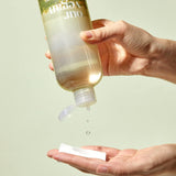 Our Vegan Heartleaf Cica Toner