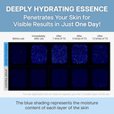 Aqua Hyaluronic Essence