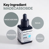 Madecassoside Pore Repair Serum