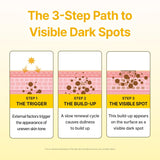 Dark Spot Care Microcone Patch