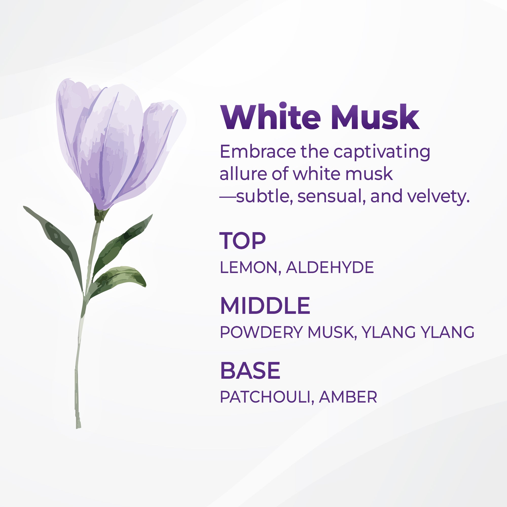 Caffeine Scalp Care Shampoo