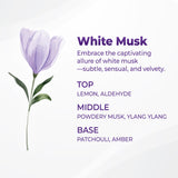 Caffeine Scalp Care Shampoo