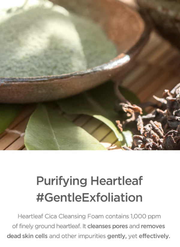 Our Vegan Heartleaf Cica Cleansing Foam