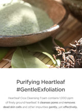 Our Vegan Heartleaf Cica Cleansing Foam