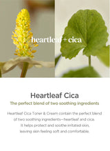 Our Vegan Heartleaf Cica Toner