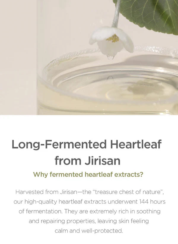 Our Vegan Heartleaf Cica Toner