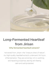 Our Vegan Heartleaf Cica Toner