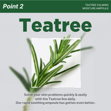 Teatree Calming Moisture Ampoule