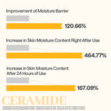 Ceramide Essential Mask Moisture Barrier
