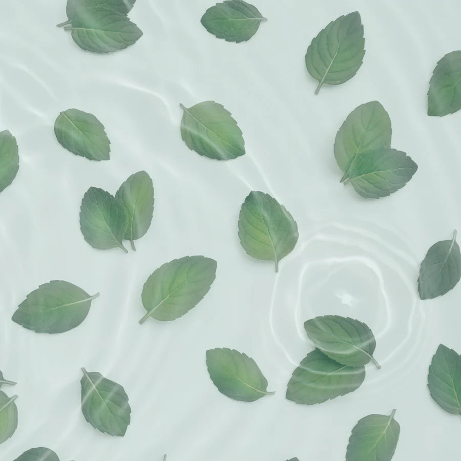 Cool & Clear Ice Boosting Body Wash - Aqua Mint