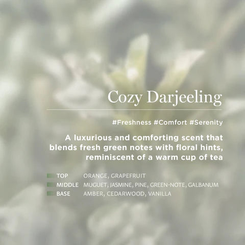 Eau Theramale Scrub Body Wash - Cozy Darjeeling